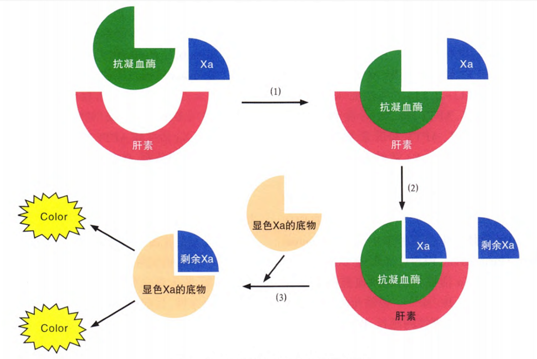 國產抗Xa質量如何？多中心臨床研究來告訴你！