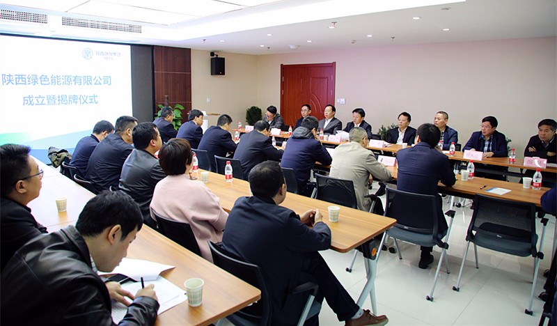 1507620885420337MZxK.jpg 綠色能源公司揭牌大景.jpg