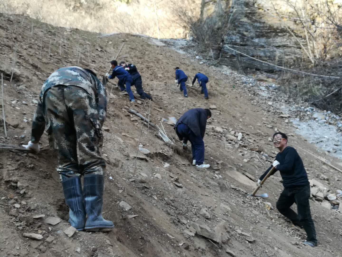 1520231113464789hcTC.jpg 綠植.jpg