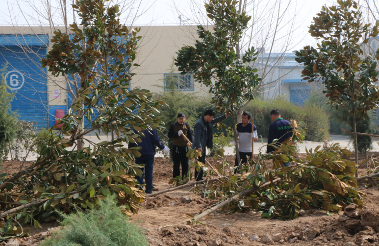 1521009740370628MEg0.png QQ圖片20180314075028.png