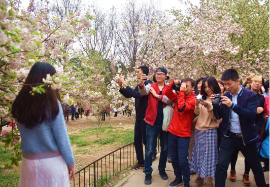 1522399801824022LUk3.jpg 圖片1.jpg