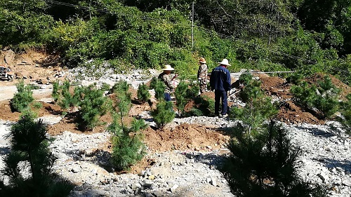 1536622516948597MwqF.jpg 圖片2.jpg