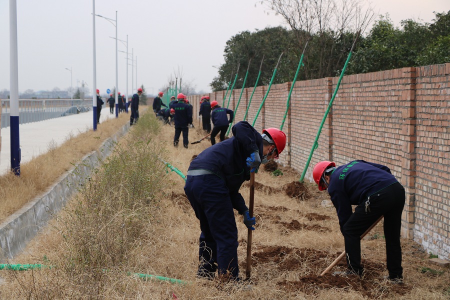 1584015373732195GlNO.jpg 三秦公司下屬陜西省危廢處置中心組織開展“美化環(huán)境 綠色同行”植樹活動(dòng)_2658.JPG