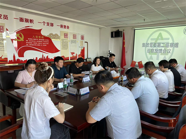 1655690365318243xpGm.jpg 集團(tuán)公司黨委第二巡察組向榆林分公司反饋巡察情況.jpg