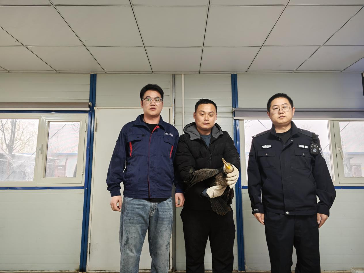 17124553693457718Odm.png 動物救助移交現(xiàn)場照片 (1).png